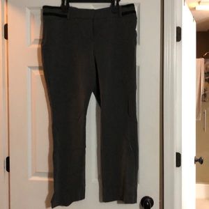 New York & Co gray trousers